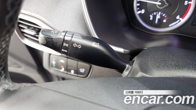 Hyundai Santa Fe (TM) Diesel 2.0 2WD Exclusive 2019 — фото 18