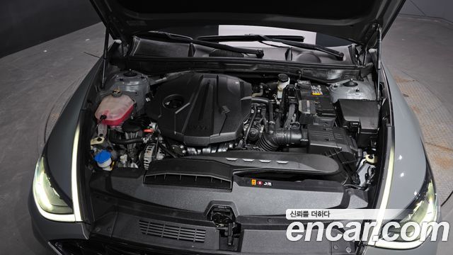Hyundai Sonata (DN8) 2.0 Premium Plus 2022 — фото 6