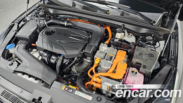 Kia K5 Hybrid (III) Prestige 2023 — фото 6