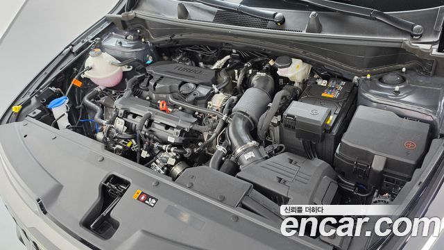 Kia Sportage (V) Gasoline 1.6 Turbo 2WD Signature X Line 2026 — фото 6