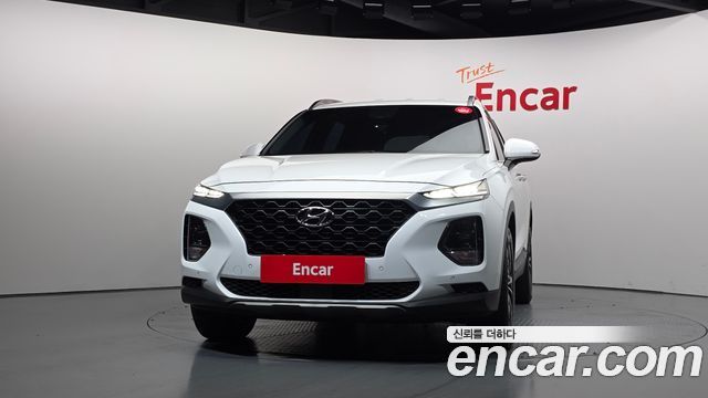 Hyundai Santa Fe (TM) Diesel 2.0 2WD Exclusive 2019 — фото 3