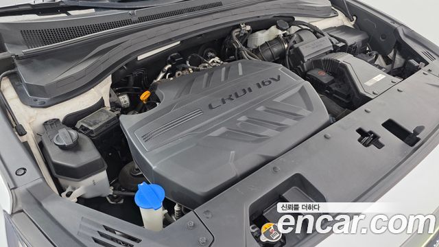 Hyundai Santa Fe (TM) Diesel 2.0 2WD Exclusive 2019 — фото 6