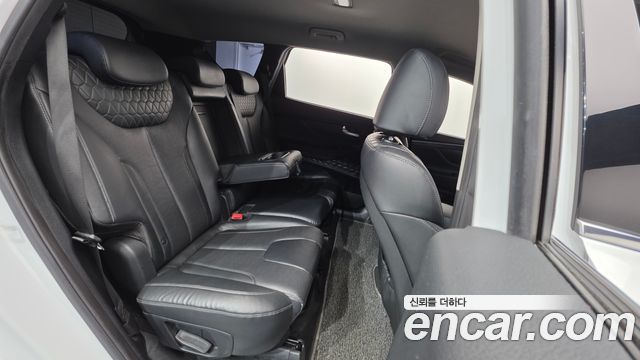 Hyundai Santa Fe (TM) Diesel 2.0 2WD Exclusive 2019 — фото 18
