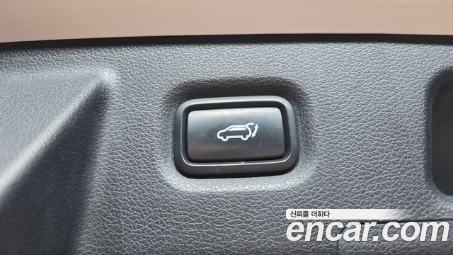 Hyundai Santa Fe (TM) Diesel 2.0 2WD Exclusive 2019 — фото 20