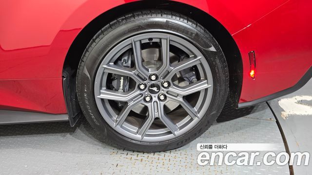 Ford Mustang (VII) 2.3 Ecoboost Premium Convertible 2024 — фото 21