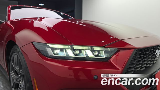 Ford Mustang (VII) 2.3 Ecoboost Premium Convertible 2024 — фото 22