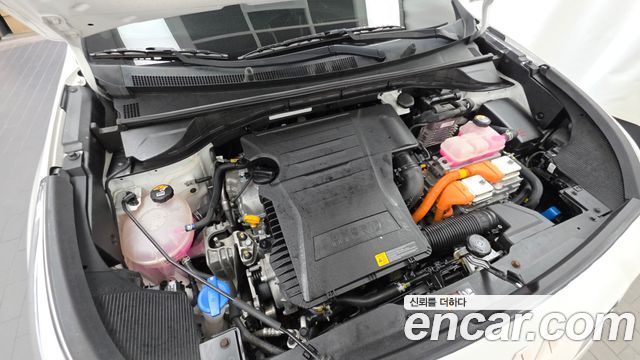 Kia Niro 1.6 HEV Prestige 2022 — фото 6