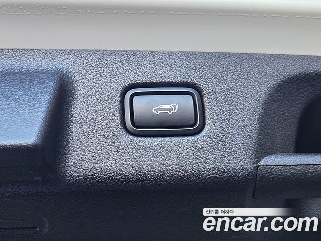 Hyundai Palisade Diesel 2.2 2WD Prestige 2020 — фото 23