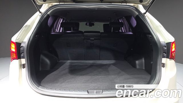 Hyundai Santa Fe (DM) Diesel(e-VGT) 2.0 2WD Premium 2013 — фото 20