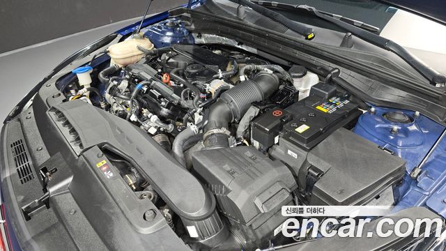 Kia K5 (III) 1.6 Turbo Signature 2022 — фото 6
