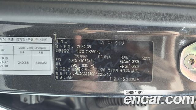 Kia K5 Hybrid (III) Trendy 2023 — фото 18