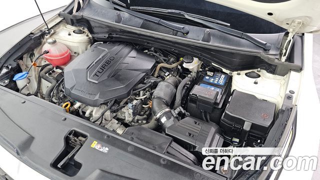 Kia Sportage (V) Diesel 2.0 2WD Prestige 2023 — фото 6
