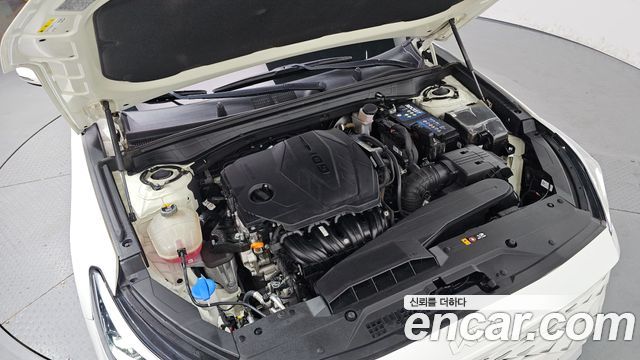 Kia K8 2.5 Gasoline 2WD Noblesse Light 2022 — фото 6