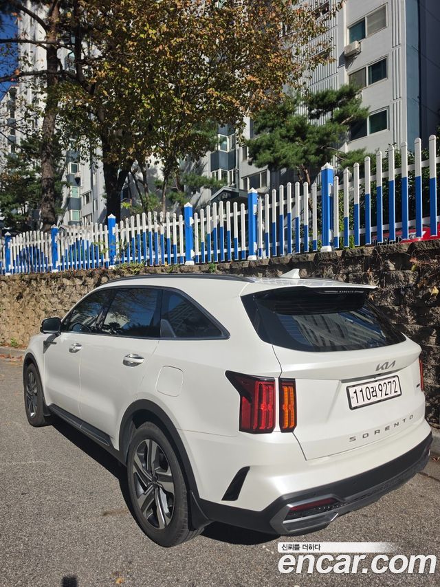 Kia Sorento (IV) HEV 1.6 2WD Signature 2022 — фото 2