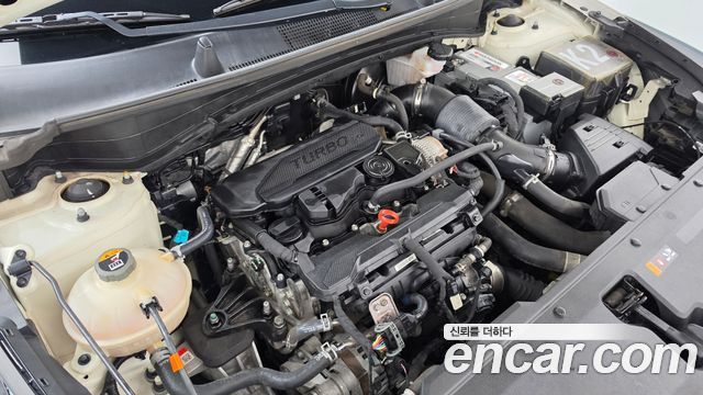 Kia Sportage (V) Gasoline 1.6 Turbo 2WD Trendy 2022 — фото 6