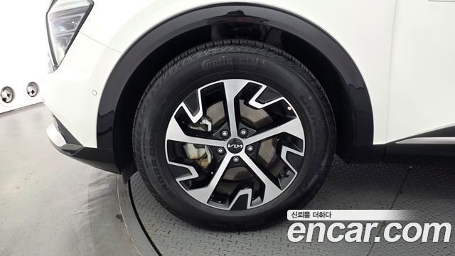 Kia Sportage Hybrid (V) Signature 2WD 2024 — фото 5