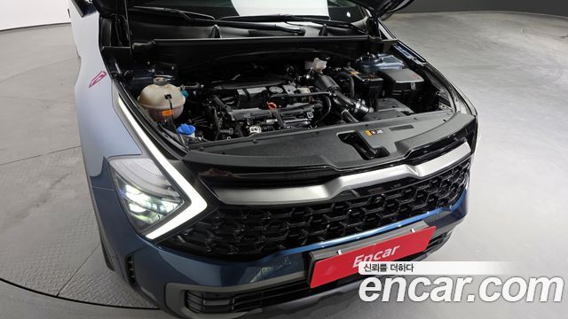 Kia Sportage (V) Gasoline 1.6 Turbo 2WD Signature Gravity 2022 — фото 6