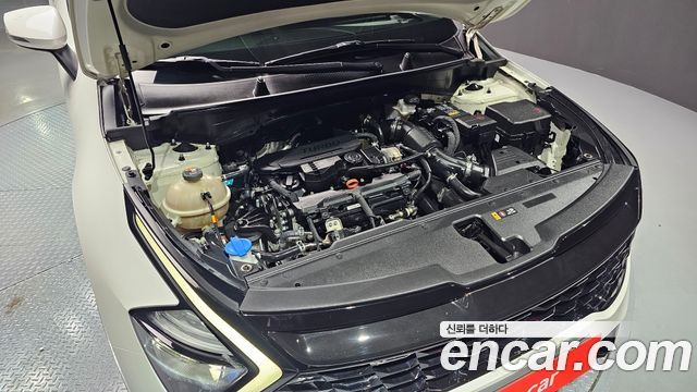 Kia Sportage (V) Gasoline 1.6 Turbo 2WD Prestige 2022 — фото 6