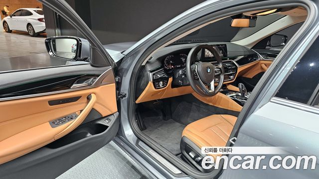 BMW 5 Series (G30) 520i Luxury 2020 — фото 11