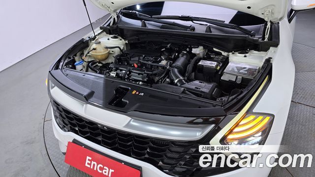 Kia Sportage (V) Gasoline 1.6 Turbo 4WD Signature 2022 — фото 6