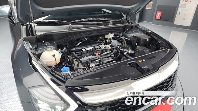 Kia Sportage (V) Gasoline 1.6 Turbo 2WD Nobleless 2023 — фото 6