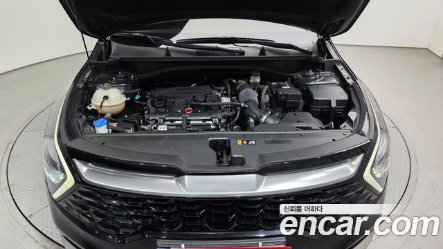 Kia Sportage (V) Gasoline 1.6 Turbo 2WD Nobleless 2022 — фото 6