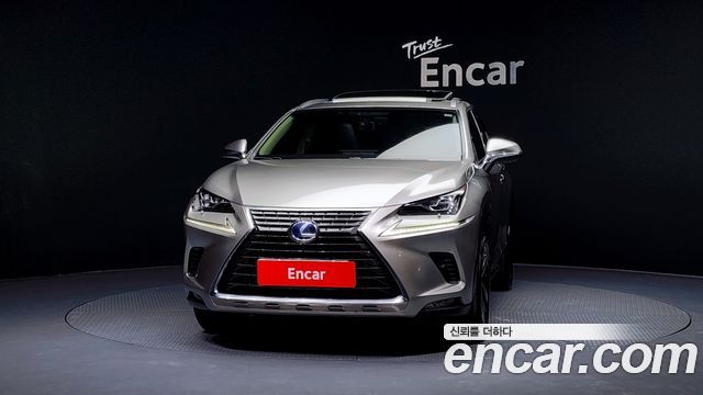 Lexus NX300h Executive 2018 — фото 3