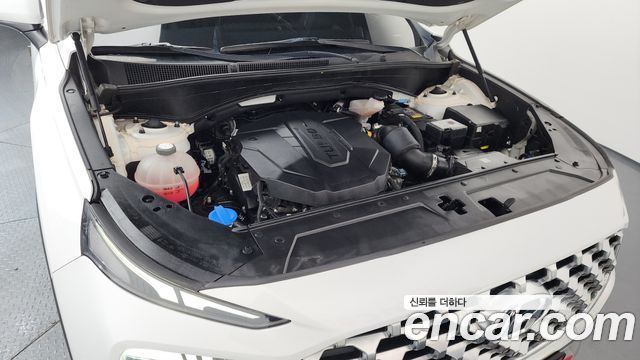 Hyundai Santa Fe Diesel 2.2 2WD Premium Choice 2021 — фото 6