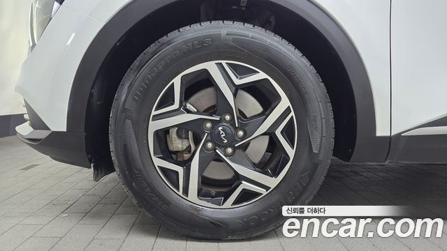 Kia Sportage (V) Gasoline 1.6 Turbo 2WD Trendy 2022 — фото 5