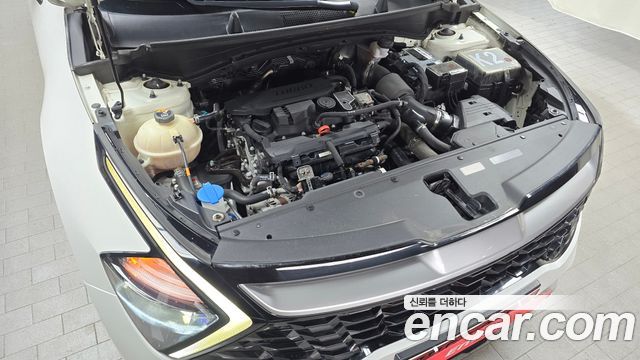 Kia Sportage (V) Gasoline 1.6 Turbo 2WD Trendy 2022 — фото 6