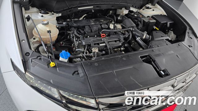 Hyundai Tucson (NX4) Gasoline 1.6 Turbo 2WD Premium 2022 — фото 6