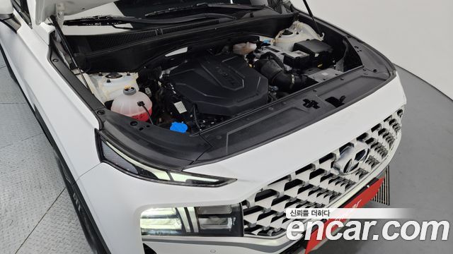 Hyundai Santa Fe Diesel 2.2 4WD Premium Choice 2021 — фото 6