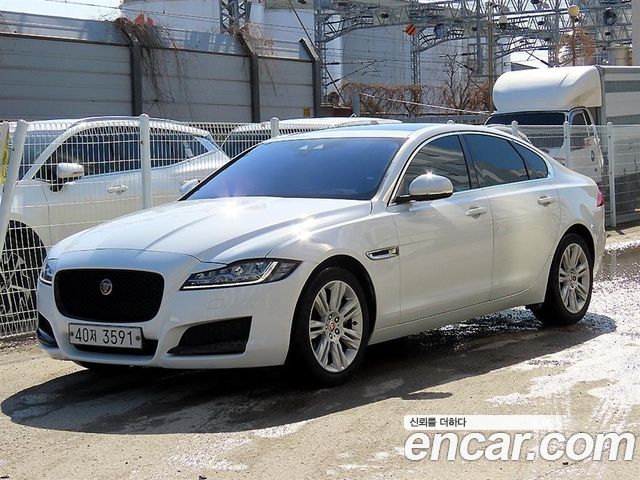 Jaguar XF (X260) 20d Portfolio 2018 — фото 2