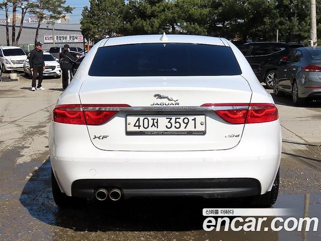 Jaguar XF (X260) 20d Portfolio 2018 — фото 4
