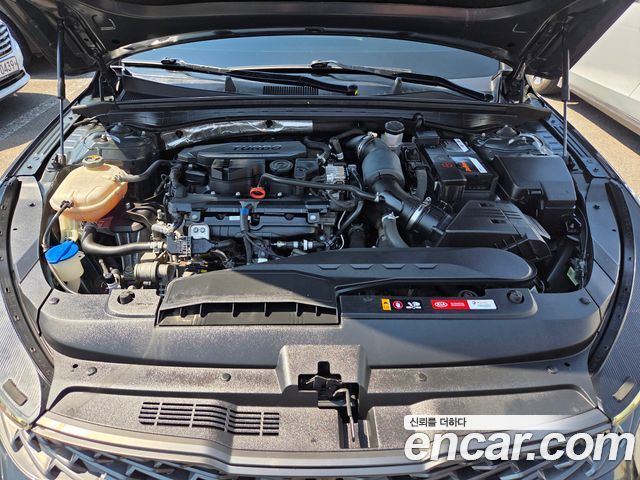 Kia K5 (III) 1.6 Turbo Noblesse 2021 — фото 6