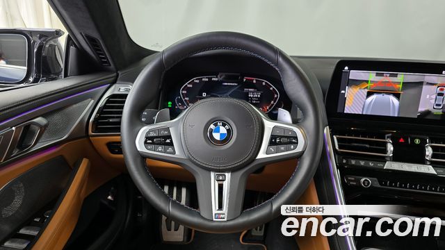 BMW 8 Series (G15) M850i xDrive Gran Coupe First Edition 2022 — фото 13