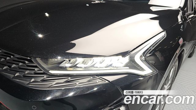 Kia K5 (III) 2.0 Noblesse 2023 — фото 22