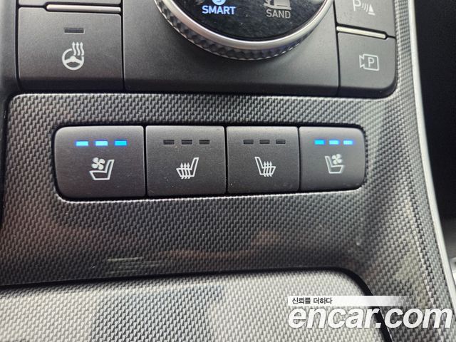 Hyundai Santa Fe Diesel 2.2 4WD Prestige 2021 — фото 21