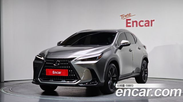 Lexus NX350h (II) Premium 2025 — фото 1