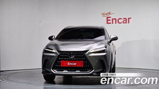 Lexus NX350h (II) Premium 2025 — фото 3