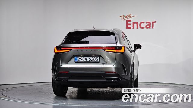 Lexus NX350h (II) Premium 2025 — фото 4