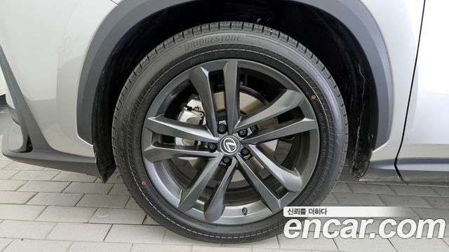 Lexus NX350h (II) Premium 2025 — фото 5