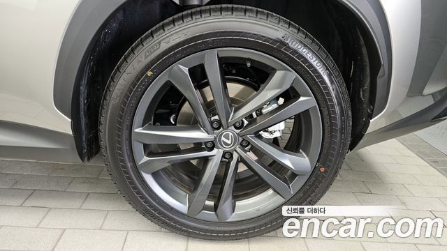 Lexus NX350h (II) Premium 2025 — фото 21