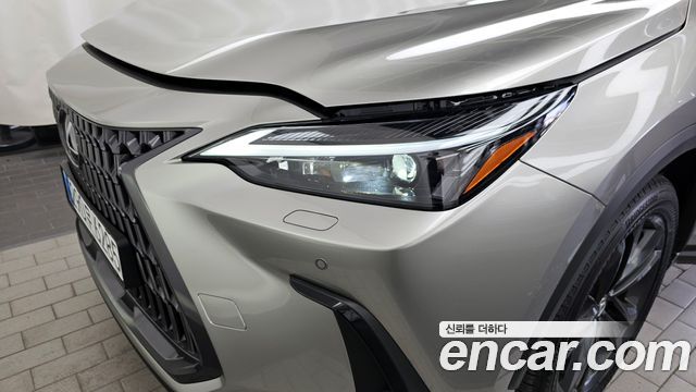 Lexus NX350h (II) Premium 2025 — фото 22
