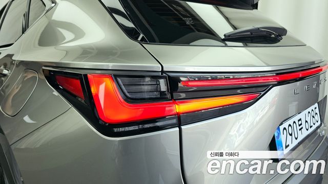 Lexus NX350h (II) Premium 2025 — фото 23