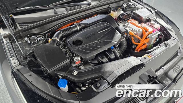 Kia K5 Hybrid (III) Noblesse 2025 — фото 6