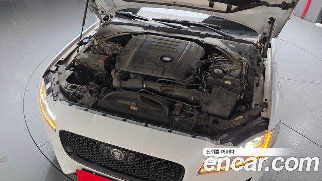 Jaguar XF (X260) 20d Chequered Flag Edition 2020 — фото 6