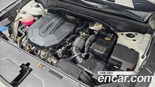 Kia Sorento (IV) Diesel 2.2 2WD Signature 2022 — фото 6