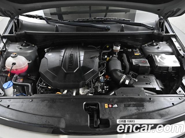 Kia Sportage (V) Diesel 2.0 4WD Trendy 2023 — фото 5