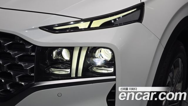 Hyundai Santa Fe Diesel 2.2 2WD Prestige 2021 — фото 22